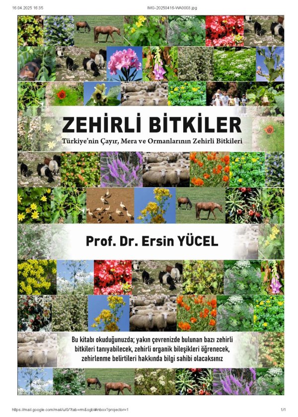 ZEHİRLİ BİTKİLER-Türkiye’nin Çayır, Mera ve Ormanlarının  Zehirli Bitkileri